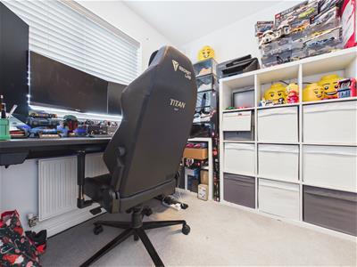 Picture 11